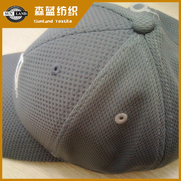 ƽȫӴ Polyester mesh fabric