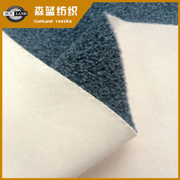 Ȫ50Dƽҡ 50D interlock bonded polar fleece